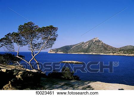 Spain, Balearic Islands, Majorca, Sa Dragonera island View Large Photo Image Stock Image - Spain, Balearic Islands, Majorca, Sa Dragonera island. Fotosearch