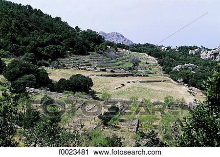 Spain, Balearic Islands, Majorca, Pollença area, landscape View Large Photo Image Stock Image - Spain, Balearic Islands, Majorca, Pollença area, landscape. Fotosearch