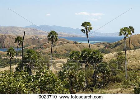 Indonesia, Flores, Riung View Large Photo Image Stock Image - Indonesia, Flores, Riung. Fotosearch