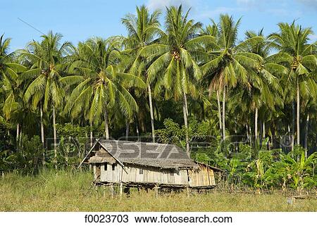 Indonesia, Flores, Riung, traditional habitation View Large Photo Image Stock Image - Indonesia, Flores, Riung, traditional habitation. Fotosearch