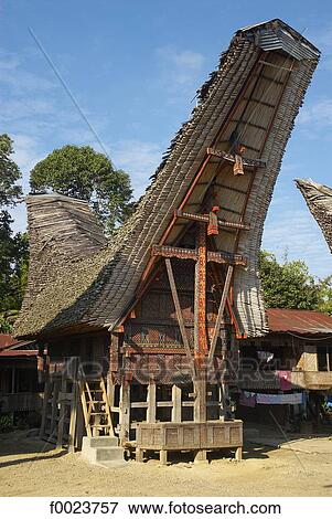 Indonesia, Sulawesi, Tana Toraja, Palawa, Torajan house View Large Photo Image Stock Photo - Indonesia, Sulawesi, Tana Toraja, Palawa, Torajan house. Fotosearch