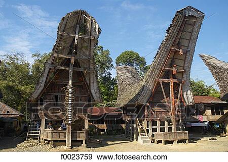 Indonesia, Sulawesi, Tana Toraja, Palawa, Torajan houses View Large Photo Image Stock Photo - Indonesia, Sulawesi, Tana Toraja, Palawa, Torajan houses. Fotosearch