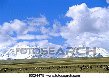 China, Tibet, near Lalung-La Pass View Large Photo Image Stock Photo - China, Tibet, near Lalung-La Pass. Fotosearch