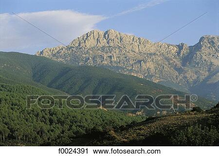 Stock Image - Morocco, Tangier area, Rif Mountains. Fotosearch