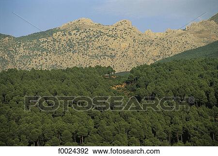 Stock Image - Morocco, Tangier area, Rif Mountains. Fotosearch