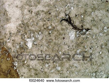Rotten paper View Large Photo Image Stock Image - Rotten paper. Fotosearch