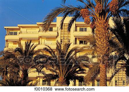 France, French Riviera, Cannes, luxury flats along the Croisette View Large Photo Image Stock Photo - France, French Riviera, Cannes, luxury flats along the Croisette. Fotosearch