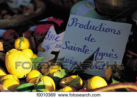France, French Riviera, Menton, wintery lemons View Large Photo Image Stock Photo - France, French Riviera, Menton, wintery lemons. Fotosearch