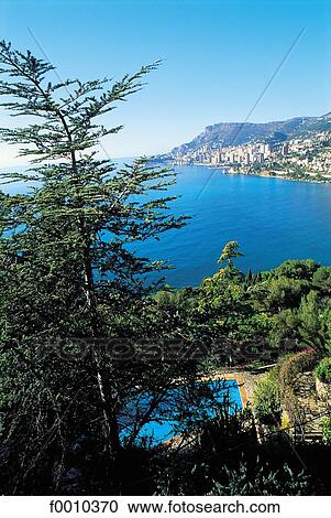France, French Riviera, Monaco from Cape Ferrat View Large Photo Image Stock Image - France, French Riviera, Monaco from Cape Ferrat. Fotosearch