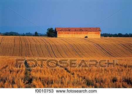 Stock Image - France, Provence, farm. Fotosearch