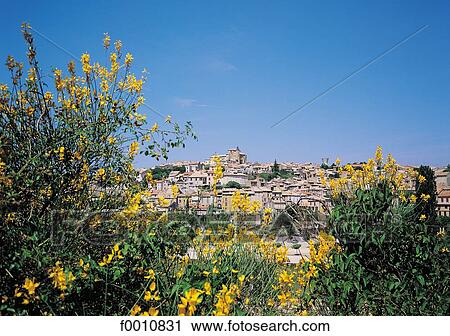 Stock Image - France, Provence, Valensole. Fotosearch