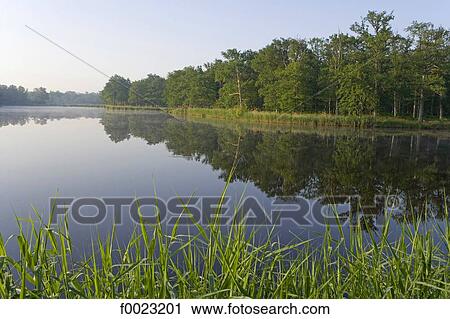 Stock Image - France, Touraine, Chambord, national hunting reserve. Fotosearch