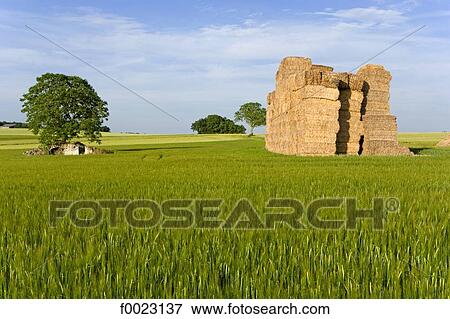 France, Touraine, country landscape View Large Photo Image Stock Photo - France, Touraine, country landscape. Fotosearch