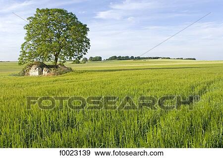 France, Touraine, country landscape View Large Photo Image Stock Photo - France, Touraine, country landscape. Fotosearch