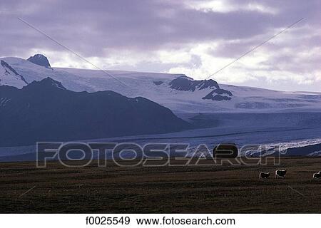 Stock Photo - Iceland, Vatnajökull glacier. Fotosearch