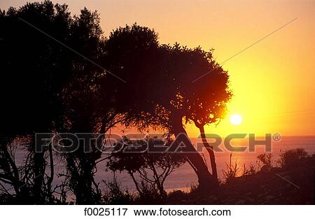 Cyprus, Kourion archaeological site at sunset View Large Photo Image Stock Photo - Cyprus, Kourion archaeological site at sunset. Fotosearch