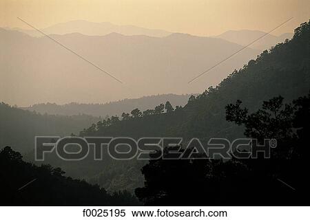 Cyprus, Troodos Mountains, Cedar Valley at sunrise View Large Photo Image Stock Photography - Cyprus, Troodos Mountains, Cedar Valley at sunrise. Fotosearch