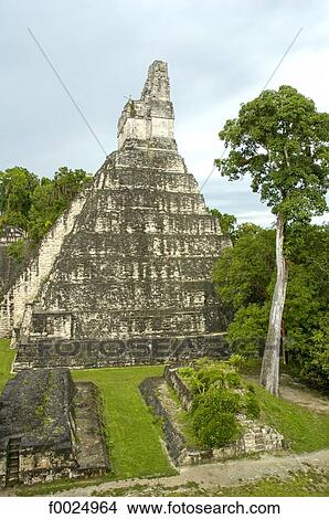 Guatemala, Tikal National Park, pyramid of the Temple of the Jaguar View Large Photo Image Picture - Guatemala, Tikal National Park, pyramid of the Temple of the Jaguar. Fotosearch