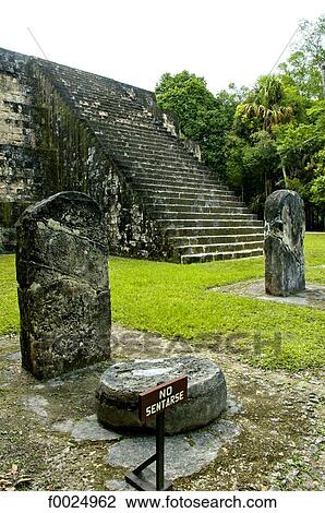 Guatemala, Tikal National Park, steles View Large Photo Image Stock Image - Guatemala, Tikal National Park, steles. Fotosearch