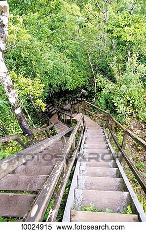 Guatemala, Tikal National Park, rainforest, stairs View Large Photo Image Stock Photography - Guatemala, Tikal National Park, rainforest, stairs. Fotosearch