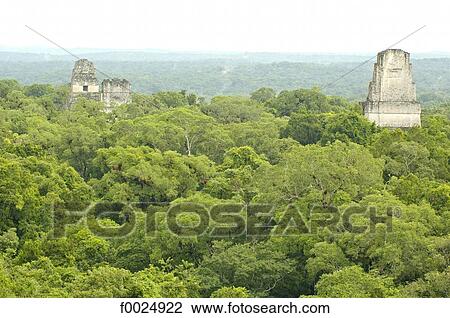 Guatemala, Tikal National Park, top of the Temple of the Jaguar View Large Photo Image Stock Image - Guatemala, Tikal National Park, top of the Temple of the Jaguar. Fotosearch