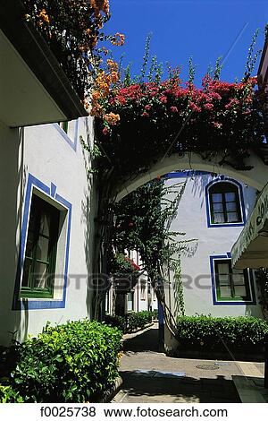 Spain, Canary Islands, Gran Canaria, Puerto Mogan, traditional dwelling View Large Photo Image Stock Photo - Spain, Canary Islands, Gran Canaria, Puerto Mogan, traditional dwelling. Fotosearch