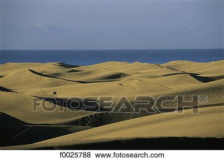 Spain, Canary Islands, Gran Canaria, Maspalomas View Large Photo Image Stock Photo - Spain, Canary Islands, Gran Canaria, Maspalomas. Fotosearch
