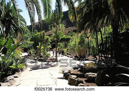 Spain, Canary Islands, Gran Canaria, Palmitos Park View Large Photo Image Stock Photograph - Spain, Canary Islands, Gran Canaria, Palmitos Park. Fotosearch