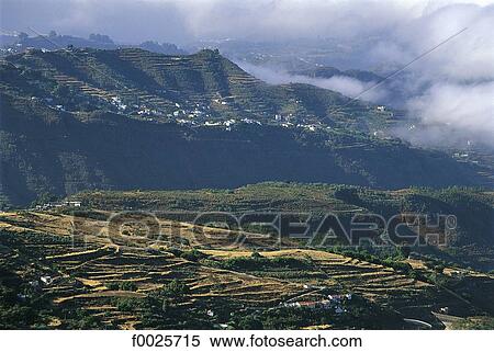Spain, Canary Islands, Gran Canaria, terrace cultivation View Large Photo Image Stock Photography - Spain, Canary Islands, Gran Canaria, terrace cultivation. Fotosearch