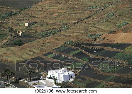 Spain, Canary Islands, Lanzarote, terrace cultivation View Large Photo Image Stock Photograph - Spain, Canary Islands, Lanzarote, terrace cultivation. Fotosearch