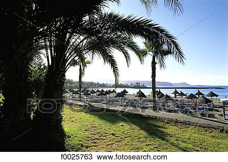 Stock Image - Spain, Canary Islands, Tenerife, Playa de Las Americas. Fotosearch