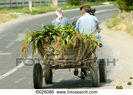 Stock Photograph - Romania, Dobruja, cart. Fotosearch