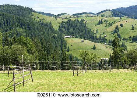 Romania, Moldavia, province of Bukovina, near Pojorata, country landscape View Large Photo Image Stock Image - Romania, Moldavia, province of Bukovina, near Pojorata, country landscape. Fotosearch