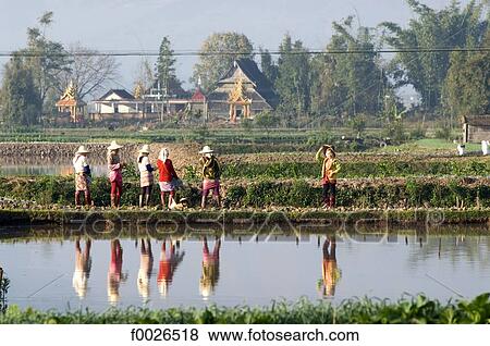 China, Yunnan, Chinese countryside View Large Photo Image Stock Photo - China, Yunnan, Chinese countryside. Fotosearch