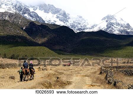 China, Yunnan, near Lijiang, horse trekking View Large Photo Image Stock Image - China, Yunnan, near Lijiang, horse trekking. Fotosearch