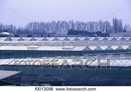 The Netherlands, South Holland, Rotterdam, greenhouses View Large Photo Image Stock Photo - The Netherlands, South Holland, Rotterdam, greenhouses. Fotosearch