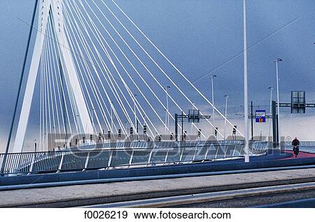 The Netherlands, South Holland, Rotterdam, Erasmus Bridge View Large Photo Image Stock Photo - The Netherlands, South Holland, Rotterdam, Erasmus Bridge. Fotosearch