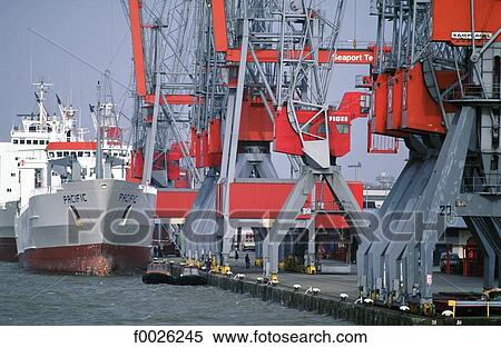 The Netherlands, South Holland, Rotterdam, harbour, freighters and cranes View Large Photo Image Stock Photography - The Netherlands, South Holland, Rotterdam, harbour, freighters and cranes. Fotosearch