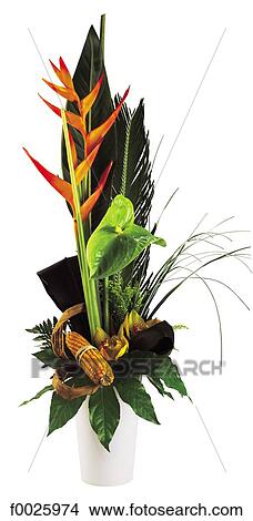 Picture - Flower arrangement. Fotosearch
