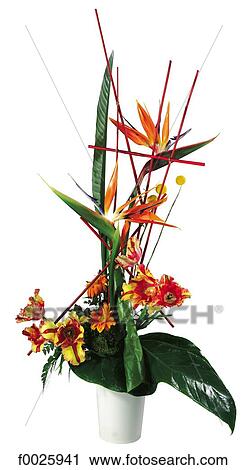 Flower arrangement View Large Photo Image Stock Image - Flower arrangement. Fotosearch