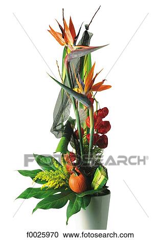 Stock Image - Flower arrangement. Fotosearch
