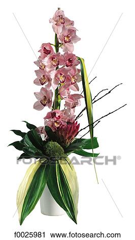 Flower arrangement View Large Photo Image Stock Image - Flower arrangement. Fotosearch