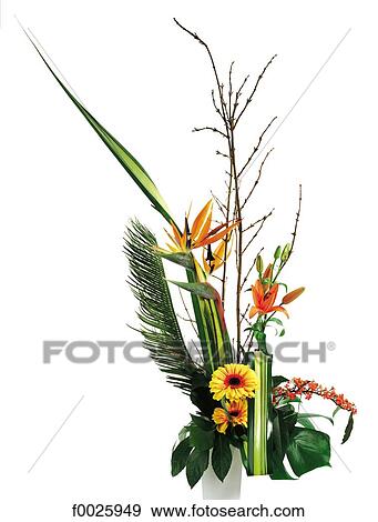 Flower arrangement View Large Photo Image Stock Photo - Flower arrangement. Fotosearch