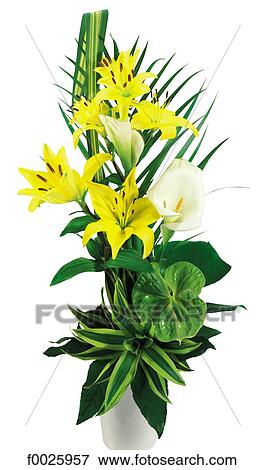 Flower arrangement View Large Photo Image Stock Photo - Flower arrangement. Fotosearch
