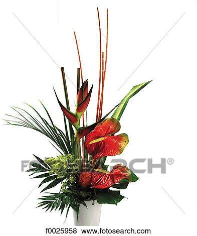 Stock Photo - Flower arrangement. Fotosearch