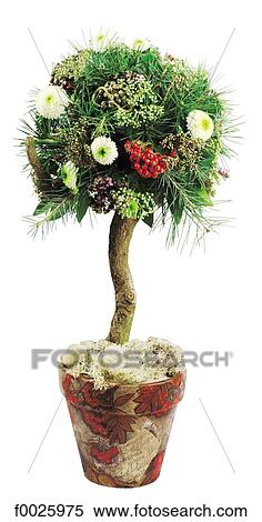 Flower arrangement View Large Photo Image Stock Photography - Flower arrangement. Fotosearch