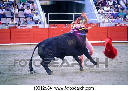 Spain, Barcelona, corrida View Large Photo Image Picture - Spain, Barcelona, corrida. Fotosearch