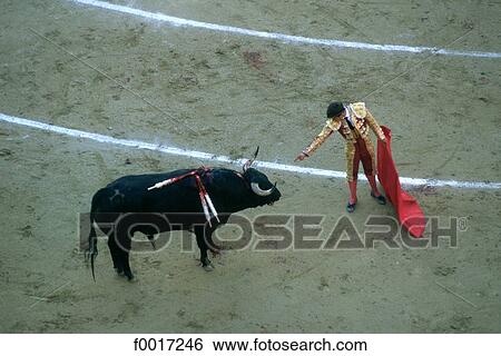 Spain, Barcelona, corrida View Large Photo Image Stock Photograph - Spain, Barcelona, corrida. Fotosearch
