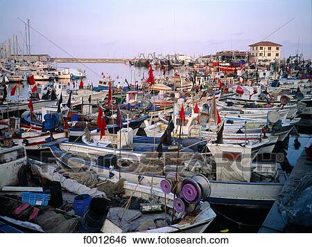 Spain, Barcelona, the fishing port View Large Photo Image Stock Photograph - Spain, Barcelona, the fishing port. Fotosearch
