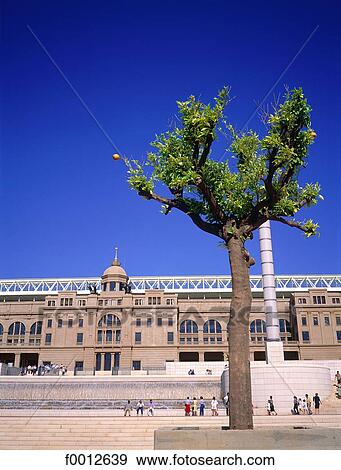 Spain, Barcelona, the olympic stadium and an orange tree View Large Photo Image Stock Photo - Spain, Barcelona, the olympic stadium and an orange tree. Fotosearch